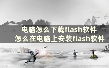 电脑怎么下载flash软件 怎么在电脑上安装flash软件